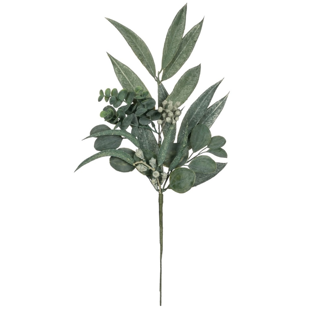 NWT California Eucalyptus Stems/Sprigs